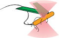Shaevitz Lab Logo